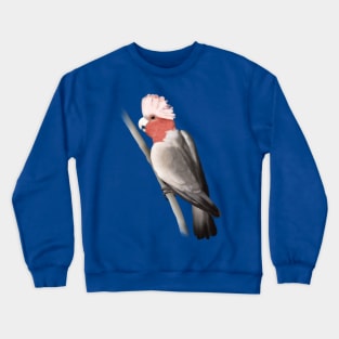 Galah Crewneck Sweatshirt